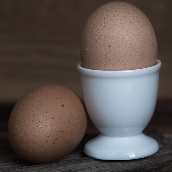 protein